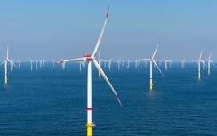 Điện gió ngoài khơi - động lực mới cho ngành Dầu khí Việt Nam phát triển bền vững
