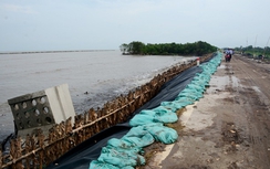 Cà Mau: Triển khai xây dựng đê biển và kè những đoạn xung yếu