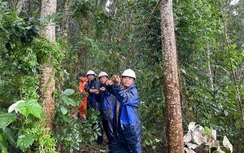 EVN tích cực khắc phục sự cố điện sau bão số 3