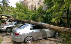 Quy hoạch không gian ngầm trước bối cảnh Hà Nội thiếu bãi đỗ xe và ùn tắc giao thông nghiêm trọng