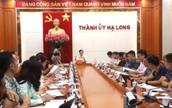 Thành phố Hạ Long đề xuất giải pháp hỗ trợ các doanh nghiệp bị thiệt hại do cơn bão số 3