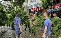 Hà Nội: Tập trung đẩy mạnh công tác thu dọn cây xanh gãy, đổ tại các quận nội thành