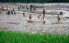 Người bị lũ lụt cuốn trôi nhà, được hỗ trợ thế nào?