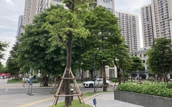 Chung cư Hà Nội: Nguồn cung vẫn khan hiếm, đầu tư vẫn an toàn