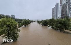 Hàn Quốc: Hơn 500 người phải sơ tán do mưa lớn gây ngập lụt