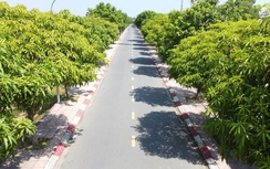 Bài 1: Carboncor Asphalt – tấm áo mới cho những con đường xanh