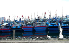 Đà Nẵng: Chi hơn 130 tỷ đồng cải tạo hệ thống thoát nước và thu gom nước thải tại Âu thuyền Thọ Quang và quận Ngũ Hành Sơn