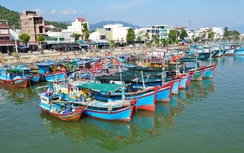 Khánh Hòa: Kiểm tra tình hình thực hiện công tác chống khai thác IUU