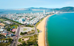 Bình Định: Khẩn trương đẩy nhanh tiến độ thu tiền sử dụng đất, tiền thuê đất