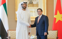 Thủ tướng hoan nghênh UAE tổ chức hội nghị đầu tư lớn tại Việt Nam