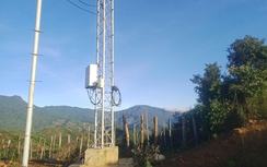 Tu Mơ Rông (Kon Tum): Đầu tư gần 1 tỷ đồng lắp đặt 2 trạm phát sóng giúp người dân Xơ Đăng bảo vệ vườn sâm Ngọc Linh