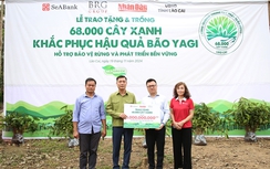 SeABank và Tập đoàn BRG chung tay trồng 68.000 cây phủ xanh gần 20ha rừng tại Lào Cai
