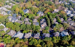 Chiến lược bền vững cho bất động sản: “Xanh” từ thiết kế, xây dựng đến vận hành