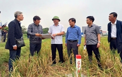 Nam Định: Bàn giao cọc giải phóng mặt bằng và mốc lộ giới dự án cao tốc Ninh Bình – Hải Phòng