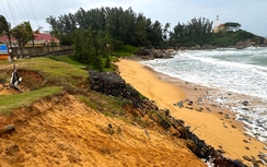 Quảng Ngãi: Kiểm tra tình hình sạt lở bờ biển Dung Quất
