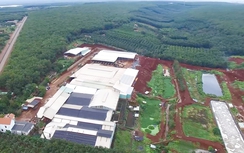 Bình Phước: Mùi hôi trong không khí bắt nguồn từ Nhà máy sấy cán mủ cao su Thuận Lợi