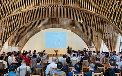 Công nghệ biến tính nhiệt tre, gỗ: Giải pháp nâng cao chất liệu và hiệu quả sử dụng vật liệu thân thiện với môi trường