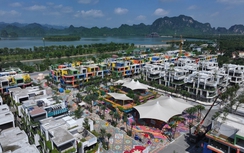 Ba yếu tố bảo chứng cho sự thành công của Flamingo Golden Hill