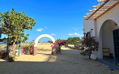 Vợ chồng xây homestay đẹp như cổ tích ở Bình Định để con vui chơi dịp nghỉ