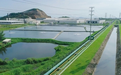 Quảng Ninh: Phát triển khu công nghiệp xanh, bền vững