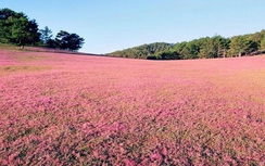 Gia Lai: Phê duyệt quy hoạch khu phức hợp Đak Đoa rộng 497ha