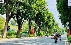 Phương pháp xác định và quản lý chi phí dịch vụ sự nghiệp công chiếu sáng đô thị, cây xanh đô thị