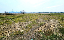 Thanh Hóa: Chấp thuận nhà đầu tư thực hiện Dự án khu dân cư mới phía Đông Bắc đô thị tại thị trấn Rừng Thông