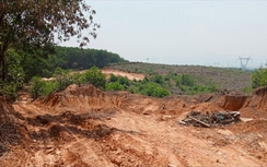 Thừa Thiên – Huế: Năm 2025 sẽ tổ chức đấu giá 2 mỏ khoáng sản làm vật liệu xây dựng