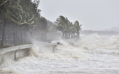 Tiền Giang: Chủ động ứng phó với áp thấp nhiệt đới khả năng mạnh lên thành bão trên Biển Đông