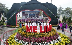 Hà Nội: Khai mạc Festival hoa Mê Linh lần thứ 2