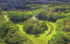 Hậu Giang: Triển khai kế hoạch thực hiện dự án Khu du lịch sinh thái Khu bảo tồn thiên nhiên Lung Ngọc Hoàng
