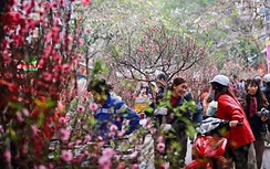 Tây Hồ (Hà Nội): Sắp diễn ra Hội hoa Xuân và các sản phẩm OCOP vùng miền Xuân Ất Tỵ 2025
