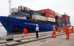 Cần Thơ: Quy hoạch chi tiết tỷ lệ 1/500 Khu dịch vụ tổng hợp, logistics khu bến Cái Cui