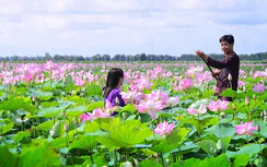 Du lịch Đất Sen hồng tiếp tục khởi sắc