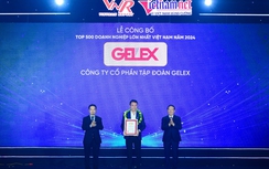 Hệ thống GELEX có 3 doanh nghiệp thuộc Top VNR 500