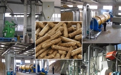 Hà Tĩnh: Chấm dứt hoạt động nhà máy sản xuất viên nén gỗ