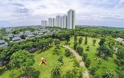 Thành lập Ban tổ chức Hội nghị thượng đỉnh Diễn đàn Đối tác vì tăng trưởng xanh và mục tiêu toàn cầu 2025