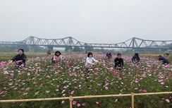 Ba Đình (Hà Nội): Rực rỡ bến hoa Phúc Xá