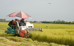 Hà Nội: Nông thôn mới diện mạo mới