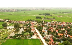 Sau Tết Nguyên đán, Hưng Yên đấu giá 305 thửa đất, khởi điểm từ 16 triệu đồng/m2