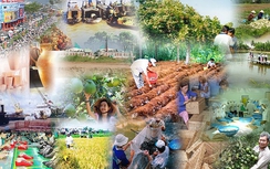 Chính sách mới có hiệu lực từ tháng 2/2025