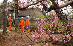 Ngành Điện: Cung cấp điện đảm bảo, an toàn trong kỳ nghỉ Tết Nguyên đán Ất Tỵ 2025