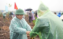 Thành phố Huế: Trồng hơn 1.000 cây xanh tại lễ phát động “Tết trồng cây đời đời nhớ ơn Bác Hồ”