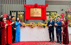 Đống Đa (Hà Nội): Khánh thành trường Tiểu học Khương Thượng, phát động “Tết trồng cây”