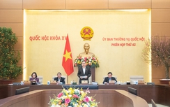 Đẩy mạnh phân cấp, phân quyền, thúc đẩy Chính phủ kiến tạo, phát triển