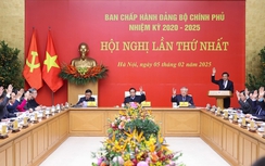 Hội nghị lần thứ nhất Ban Chấp hành Đảng bộ Chính phủ