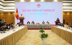 Họp báo Chính phủ thường kỳ tháng 1/2025
