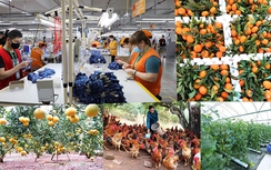 Tập trung hoàn thành cao nhất mục tiêu phát triển kinh tế - xã hội, nhất là chỉ tiêu tăng trưởng 8% trở lên trong năm 2025