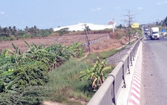 Hậu Giang: Phê duyệt đồ án quy hoạch chi tiết xây dựng Nhà máy Bột Trộn thuộc Cụm công nghiệp tập trung Đông Phú - giai đoạn 1