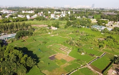 Trình Ủy ban Thường vụ Quốc hội xin ý kiến việc giảm tiền thuê đất năm 2024